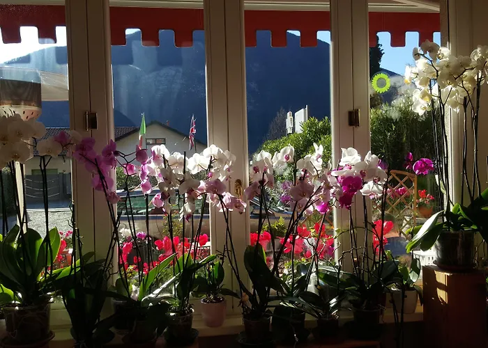 Bed & Breakfast Caffe Del Viaggiatore Valsolda