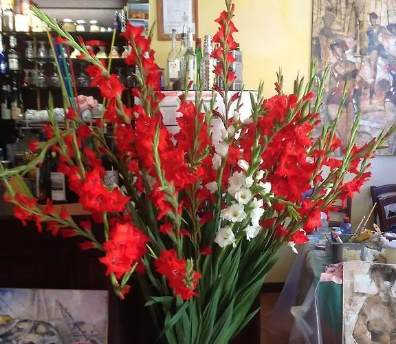 Bed & Breakfast Caffe Del Viaggiatore 4*